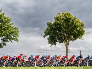 Altebra MuurClassic Geraardsbergen 2026
