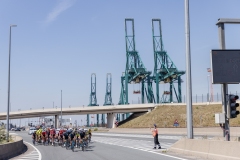 peloton cruisin through the Port of Antwerp 

Exterioo Cycling Cup
Antwerp Port Epic 2022 (BEL)
One day race from Antwerp to Antwerp 181km 

©rhodevanelsen