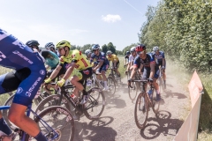 Thibau Nys (BEL/Trek Baloise) in the peloton 

Exterioo Cycling Cup
Antwerp Port Epic 2022 (BEL)
One day race from Antwerp to Antwerp 181km 

©rhodevanelsen