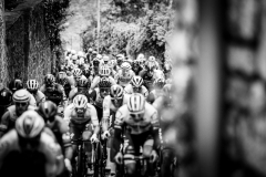 20230518 - Charleroi 



Circuit de Charleroi Wallonie - Lotto Cycling Cup 2023

©rhodevanelsen