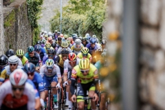 20230518 - Charleroi 



Circuit de Charleroi Wallonie - Lotto Cycling Cup 2023

©rhodevanelsen
