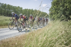 Dwars door het Hageland 2023 (Elite Women/1.1) 
One day race from Aarschot to Diest (BEL/122km, with lots of gravel sections)

©kramon