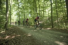 Dwars door het Hageland 2023 (Elite Women/1.1) 
One day race from Aarschot to Diest (BEL/122km, with lots of gravel sections)

©kramon