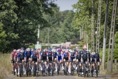 Dwars door het Hageland 2023 (Elite Women/1.1) 
One day race from Aarschot to Diest (BEL/122km, with lots of gravel sections)

©kramon
