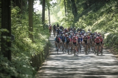 Dwars door het Hageland 2023 (Elite Women/1.1) 
One day race from Aarschot to Diest (BEL/122km, with lots of gravel sections)

©kramon