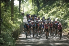 Dwars door het Hageland 2023 (Elite Women/1.1) 
One day race from Aarschot to Diest (BEL/122km, with lots of gravel sections)

©kramon