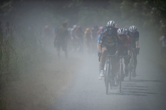 Dwars door het Hageland 2023 (Elite Women/1.1) 
One day race from Aarschot to Diest (BEL/122km, with lots of gravel sections)

©kramon