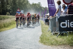 RhodePhoto_DwarsdoorhetHageland2022_LoRes-0023