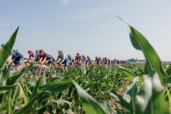 RhodePhoto_LottoBelgiumCup_DDHH_2026_LoRes-152
