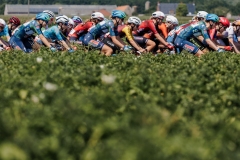 RhodePhoto_LottoBelgiumCup_Wingene2026_LoRes-162