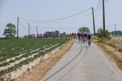 20230611 - Brugge - Elfstedenronde 2023©rhodevanelsen