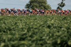 RhodePhoto_LottoBelgiumCup_ElfstedenrondeBrugge_LoRes-153