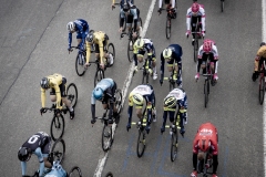 peloton

54th Le Samyn 2022 (BEL)
One day race from Quaregnon to Dour (209km)

©kramon