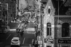 peloton rolling through RoeselareExterioo Cycling Cup11th GP Monseré 2022 (BEL)One day race from Hooglede to Roeselare ©rhodephoto