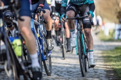 pedaling on the cobblesExterioo Cycling Cup11th GP Monseré 2022 (BEL)One day race from Hooglede to Roeselare ©rhodephoto
