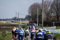 peloton in pieces 

Exterioo Cycling Cup
11th GP Monseré 2022 (BEL)
One day race from Hooglede to Roeselare 

©rhodephoto