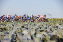 rhodevanelsen_kampioenschapvanvlaanderen2023_LoRes-6668