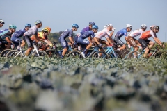 rhodevanelsen_kampioenschapvanvlaanderen2023_LoRes-6684