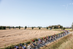 rhodevanelsen_kampioenschapvanvlaanderen2023_LoRes-7016