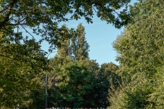 DSC06709