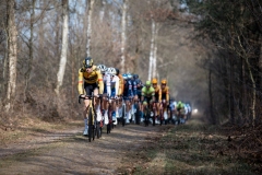 Exterioo Cycling Cup
59th Profronde van Drenthe (NED) 197km
One day race from Assen to Hoogeveen  

©rhodephoto