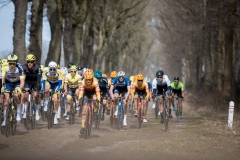 Exterioo Cycling Cup
59th Profronde van Drenthe (NED) 197km
One day race from Assen to Hoogeveen  

©rhodephoto