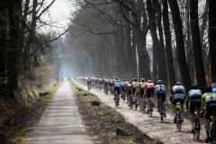 Exterioo Cycling Cup
59th Profronde van Drenthe (NED) 197km
One day race from Assen to Hoogeveen  

©rhodephoto