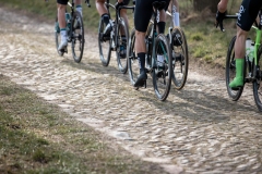 Exterioo Cycling Cup
59th Profronde van Drenthe (NED) 197km
One day race from Assen to Hoogeveen  

©rhodephoto