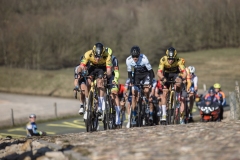 Exterioo Cycling Cup
59th Profronde van Drenthe (NED) 197km
One day race from Assen to Hoogeveen  

©rhodephoto