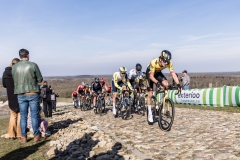 Exterioo Cycling Cup
59th Profronde van Drenthe (NED) 197km
One day race from Assen to Hoogeveen  

©rhodephoto