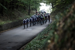 Team Deceuninck Quick Step leading the chase in the peloton. Dwars Door Het Hageland 2020One Day Race: Aarschot – Diest 180km (UCI 1.1)Bingoal Cycling Cup 2020