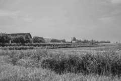 1_DP1_0372