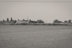DP3_0471