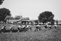 DP3_0518