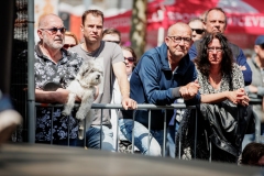 20230520 - Veenendaal  - Lotto Cycling Cup 2023